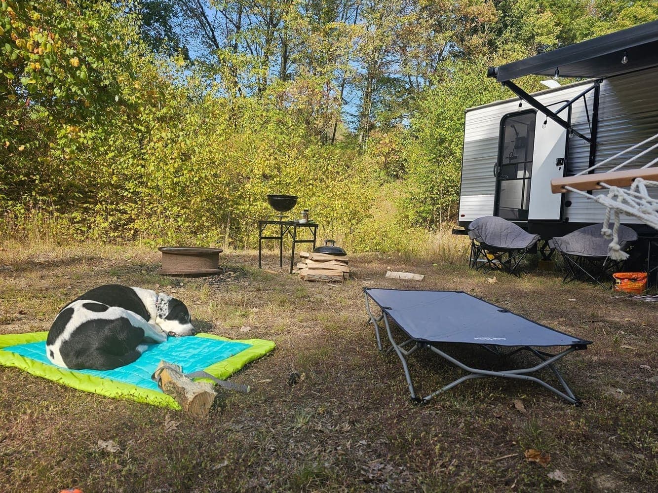 Campsite in autumn woods with a fire ring, a camp cot, and a dog on a blanket beside the trailer